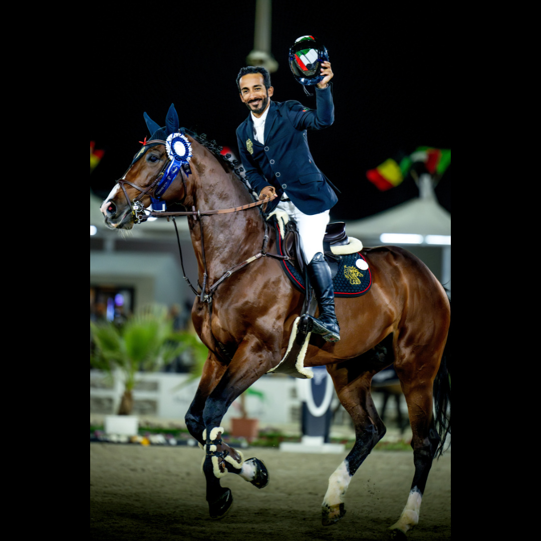 Foncetti VD Heffinck Stallion